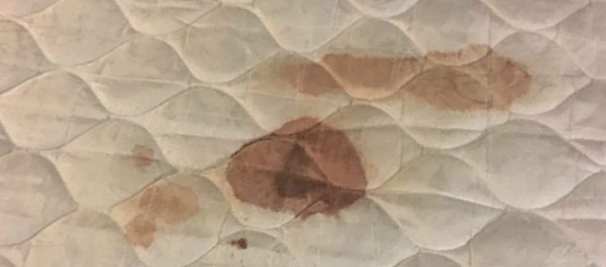  Carpet Cleaning Services Malaysia