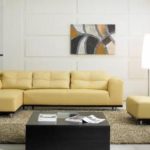 leather-sofa-cleaning-klang